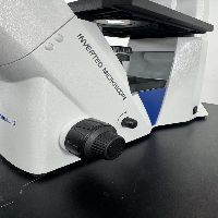 Fisherbrand Inverted Microscope image 3